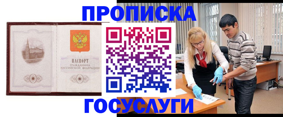 прописка 2025 в Звенигово